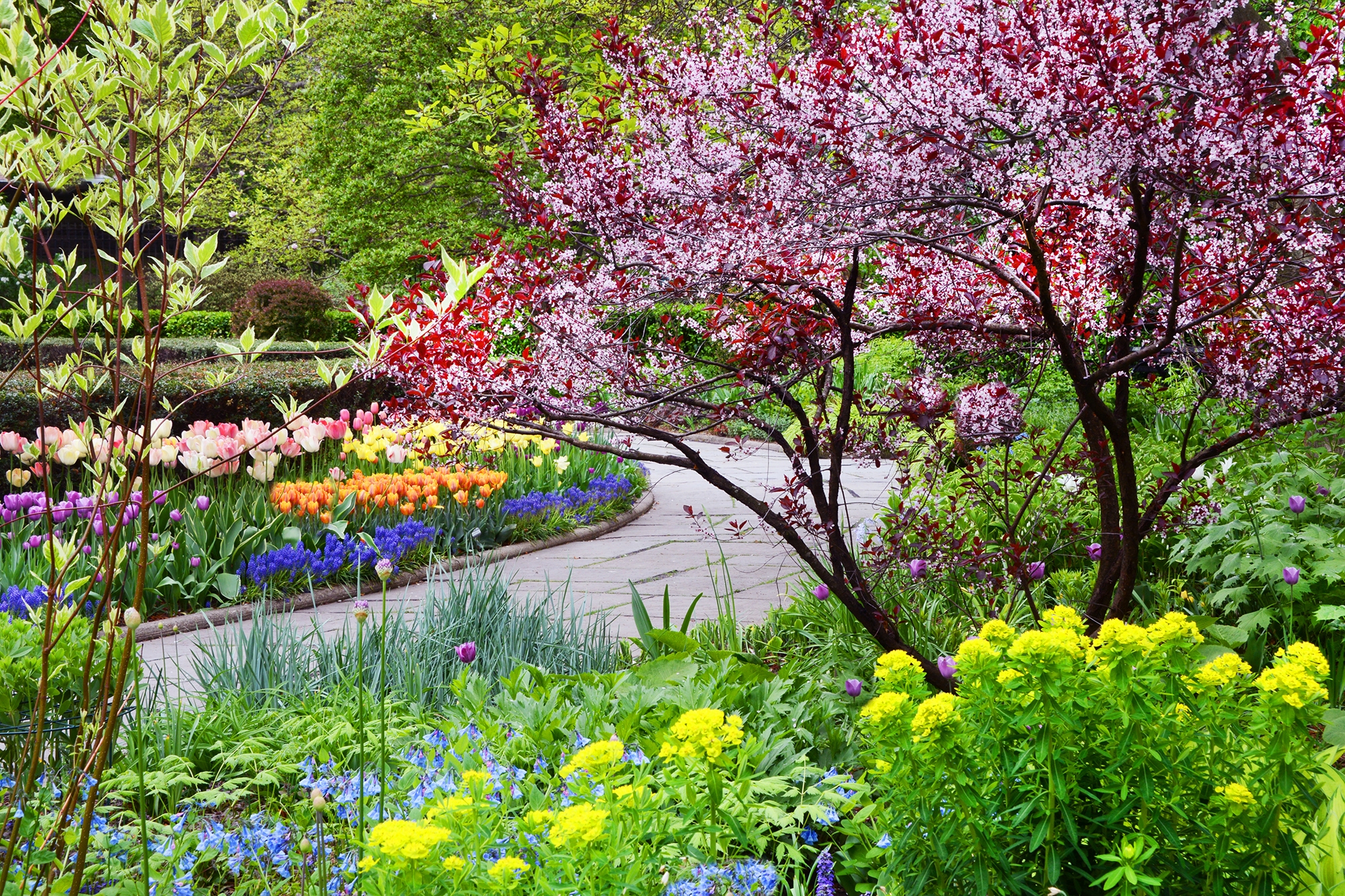 Central Park is offering free senior portraits at the Conservatory Garden next week