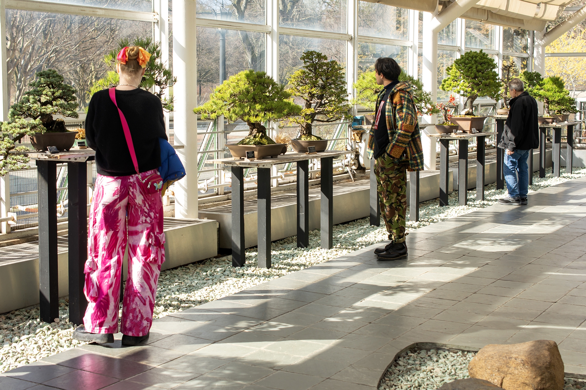Celebrate 100 years of bonsai at Brooklyn Botanical Garden's beautiful new exhibition