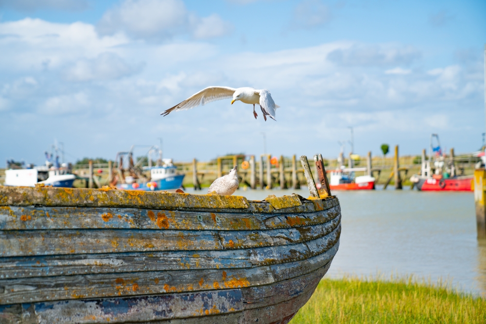 One of Britain's best seaside towns is just over one hour from London