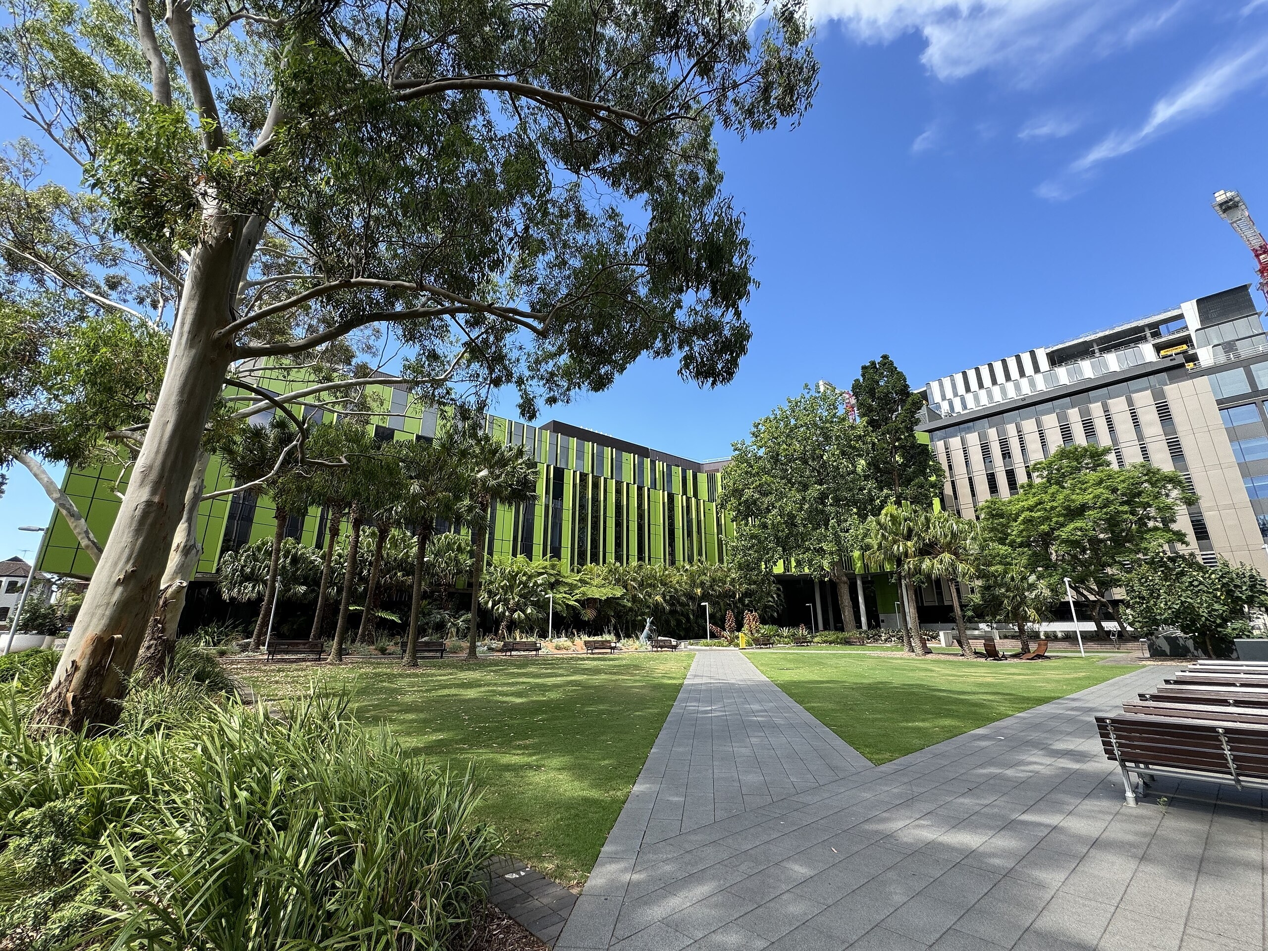 One Sydney university has ranked among the world's 20 best in the QS World University Rankings