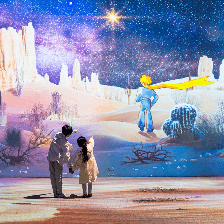 The Little Prince: The Journey of Stars