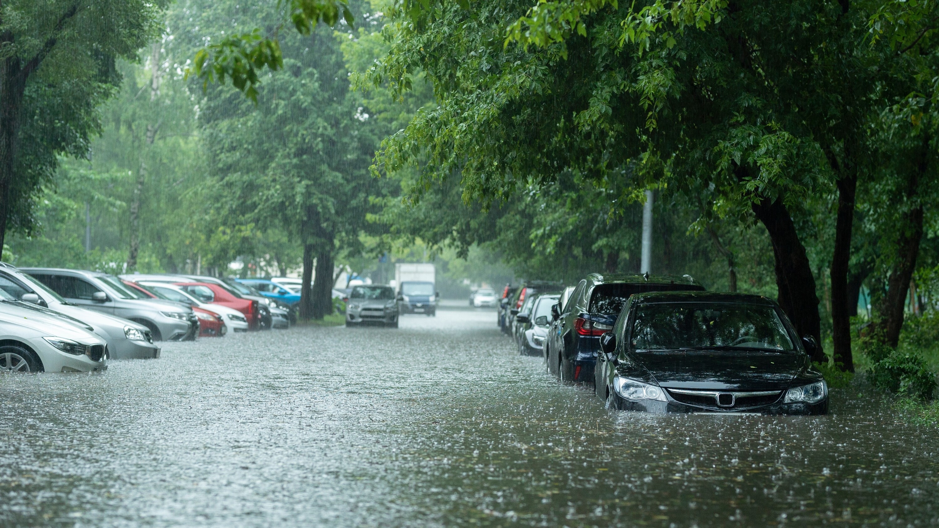 Montreal has broken an all-time daily rainfall record with over 150 mm of rain