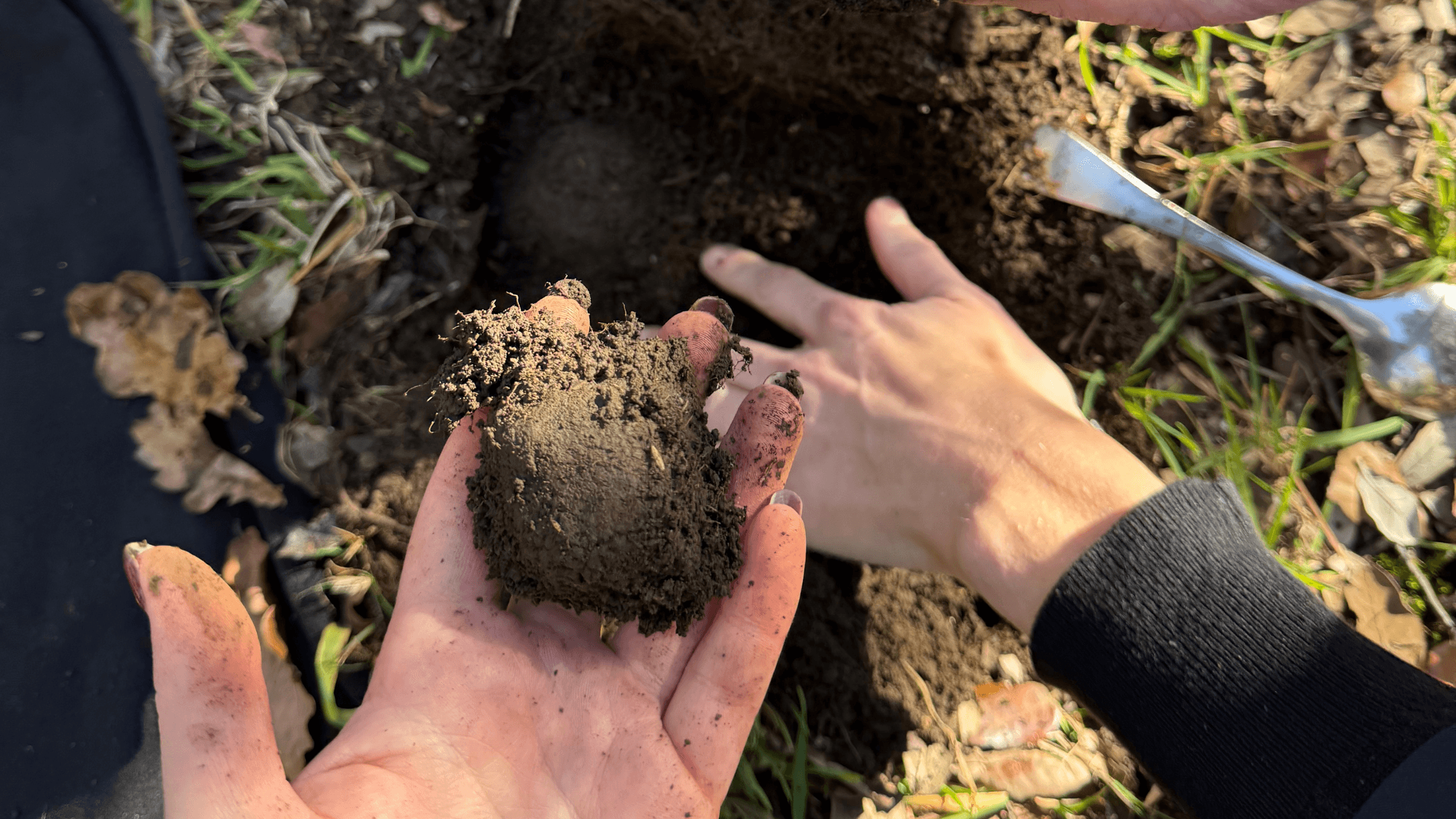I went truffle hunting near Sydney – here's what surprised me
