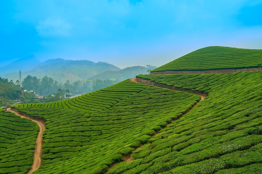 Sri Lanka visa: Brits soon won't have to pay to visit beautiful south Asian country