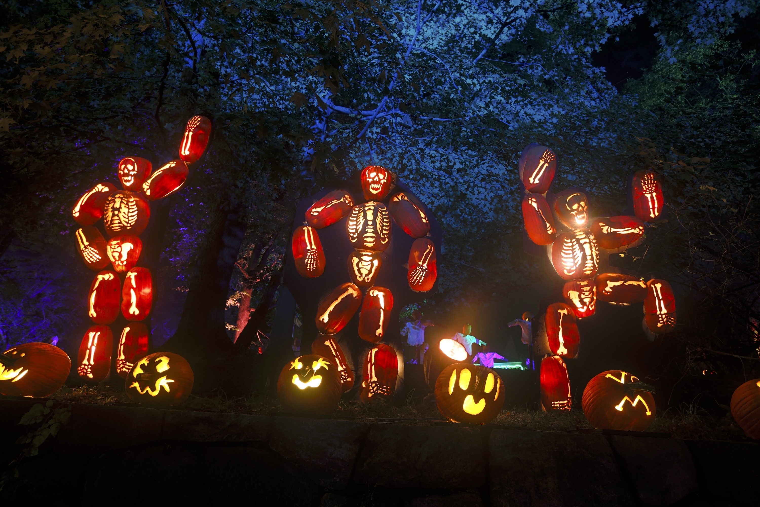 The beloved Great Jack O'Lantern Blaze has been fully reimagined for Halloween 2025
