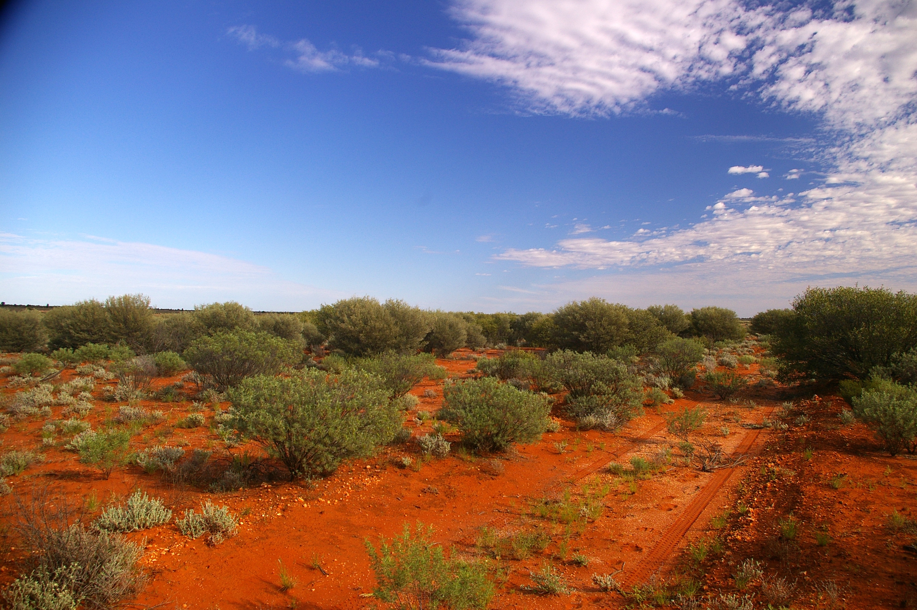 Australia is home to one of the largest deserts on Earth – and it's bigger than the entire United Kingdom