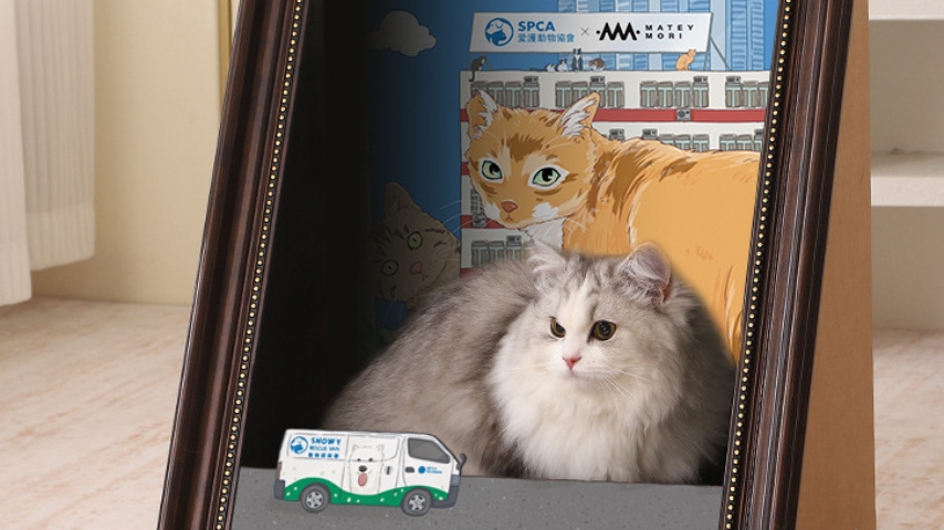 Celebrate all things feline at SPCA x HKJC SumMEOW Festival