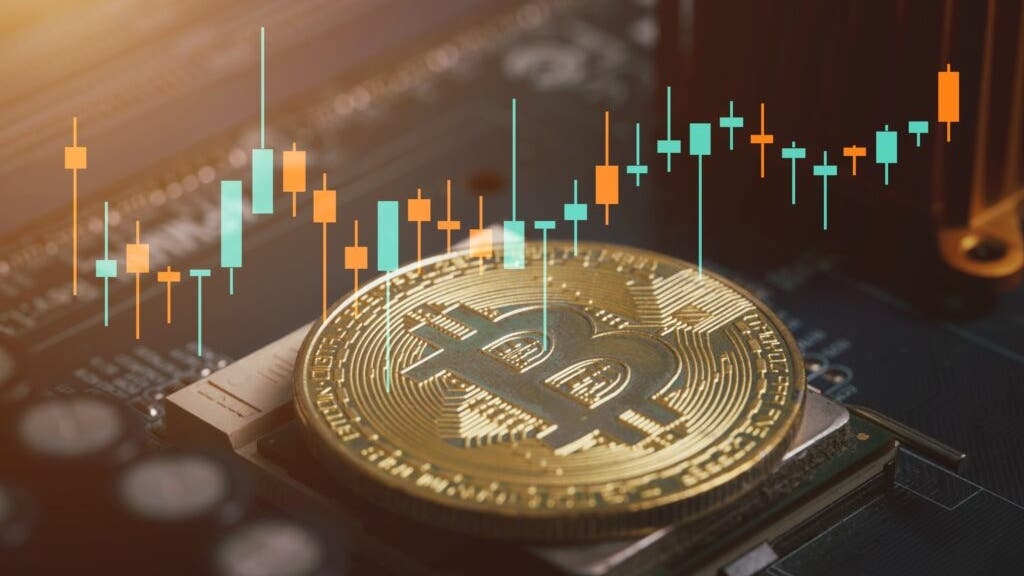 The Shrinking Bitcoin Dominance Story No One's Talking About
