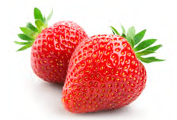 Sysco 2024 Sustainability Report: Responsibly Managing Pests
