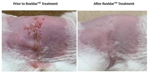 CORRECTING AND REPLACING: Theralase(R) Demonstrates Effective Treatment of Herpes