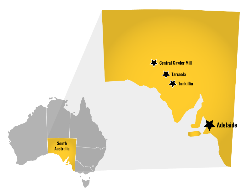 Depth Extension Confirmed at Tunkillia Project's 223 Deposit