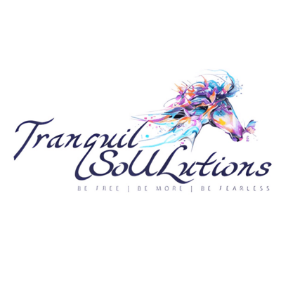Karen Rudolf: Transforming Lives with "W"holistic Healing and the Tranquil SOULutions Clarity Tool(TM)