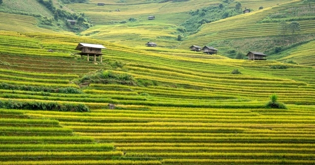 Cascale's Higg FEM Reveals Opportunities for Low-Carbon Transition in Vietnam