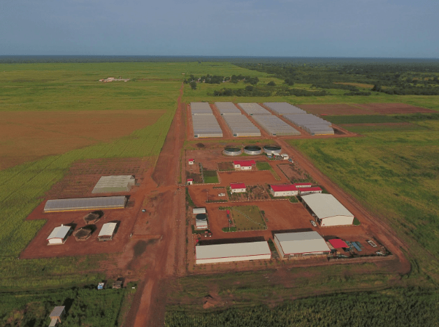 Green 2000 and PRODAC Transform Local Farming Communities Across Senegal