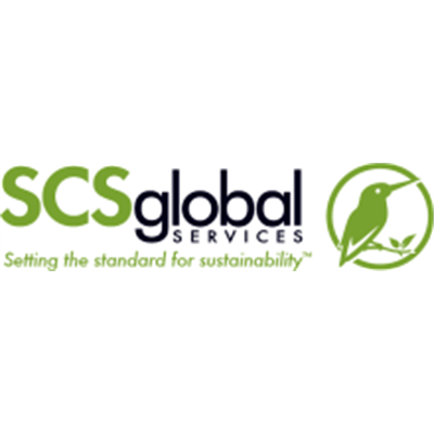 Complimentary Webinar: CDP Disclosures - Planning Tips for Successful Reporting in 2025