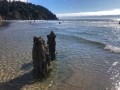 Megaquake could trigger land drop, spike flood risk along West Coast, study says