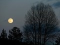 How February's full moon is linked to snowy weather