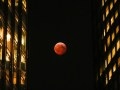 Skywatchers delight in stunning 'Blood Moon' during total lunar eclipse