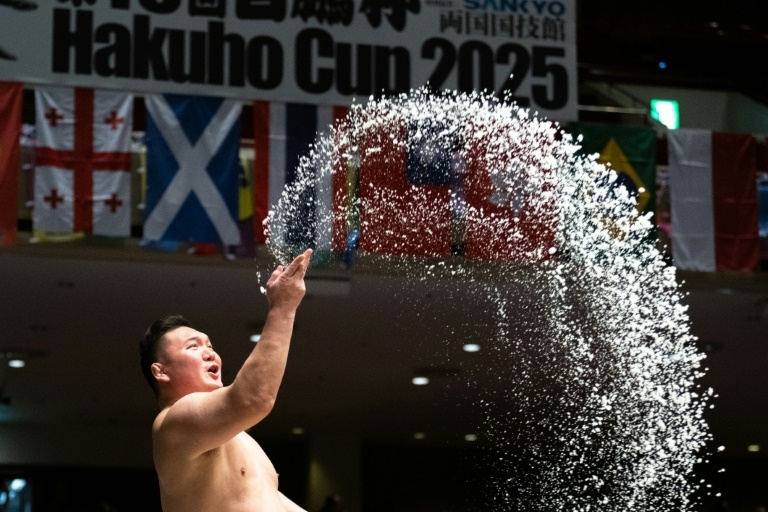 Retired great Hakuho to quit sumo over stable row: reports