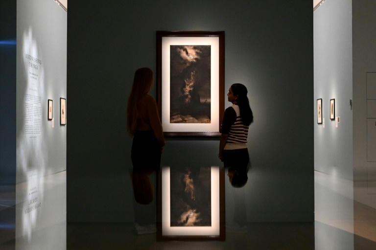 London exhibit spotlights Victor Hugo's lesser-known talent -- drawing