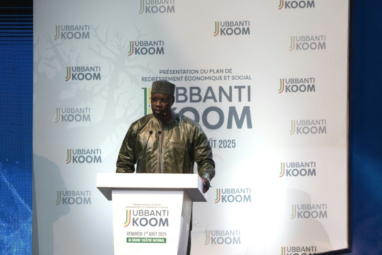 Senegal PM unveils economic recovery plan based on domestic resources