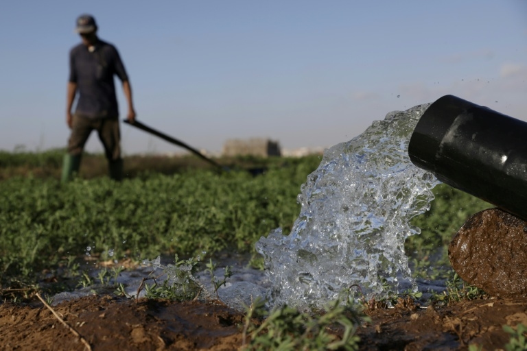 Drought-hit Morocco turns to desalination to save vegetable bounty