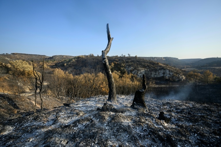 Massive French wildfire contained but 'not under control'