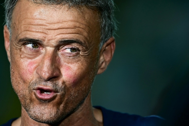 PSG coach Luis Enrique wants 'different profile' to Donnarumma