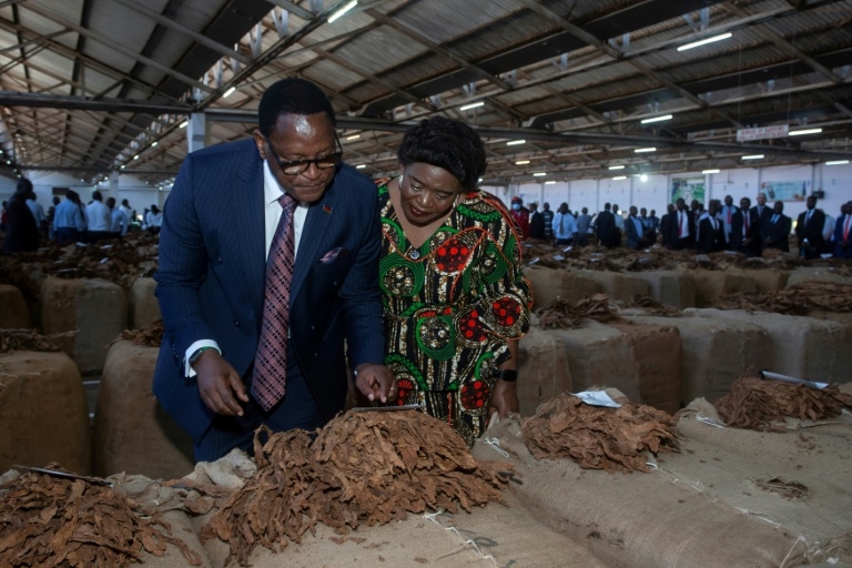 Malawi's debt crisis deepens as aid cuts hurt