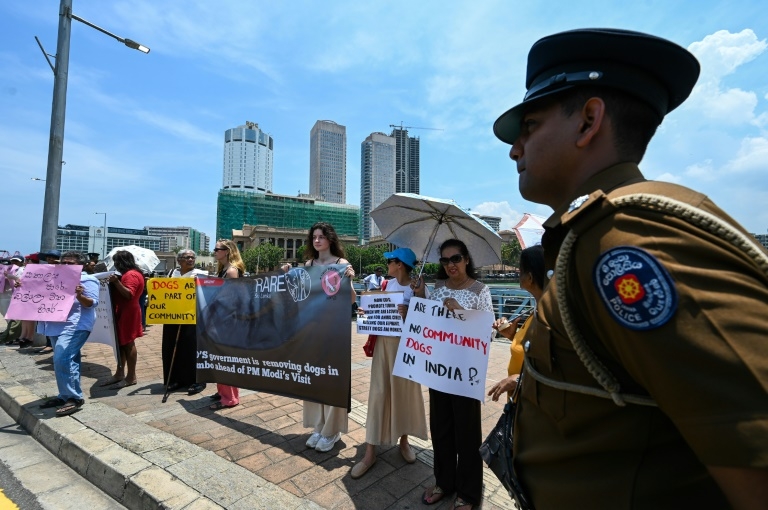 Sri Lanka's crackdown on dogs for India PM's visit sparks protest