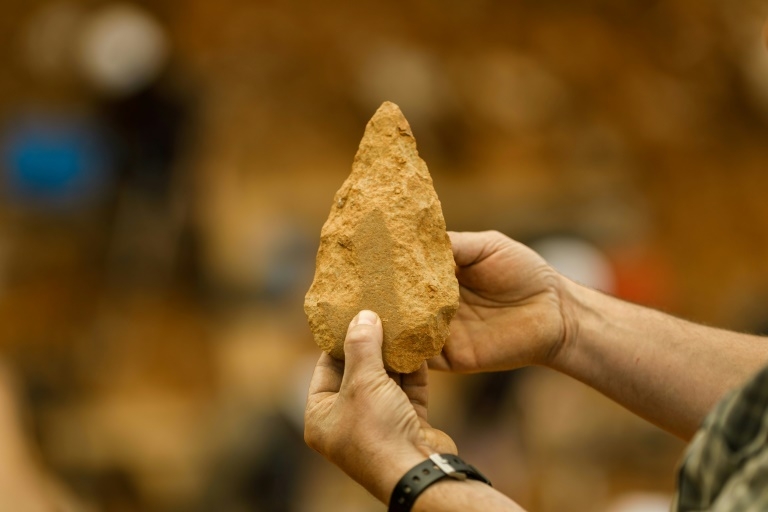 Human ancestors making 'bone tech' 1.5 million years ago, say scientists