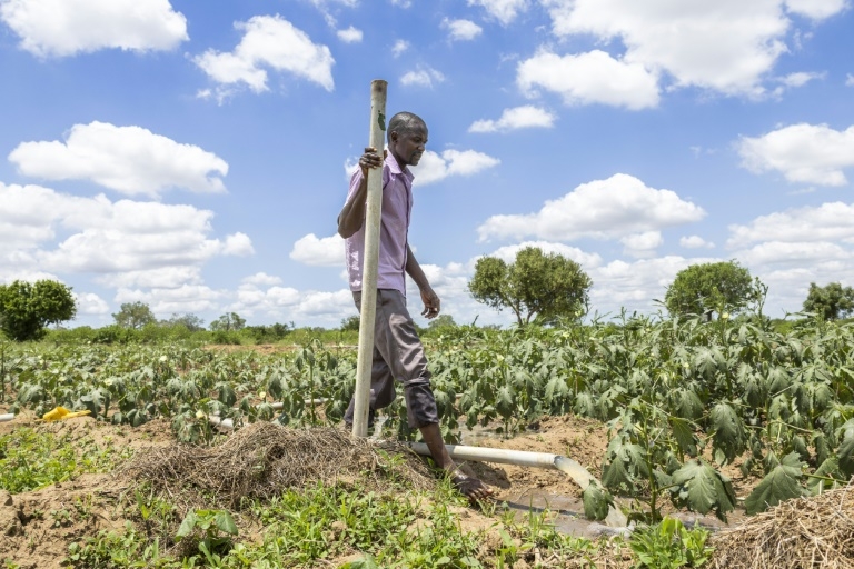 Can cash handouts replace aid? Kenya offers some answers