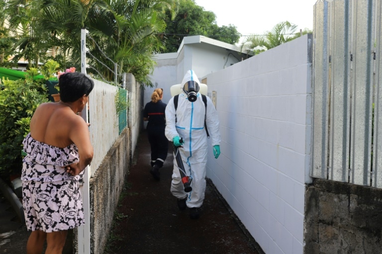 Mosquito-borne chikungunya kills two in France's La Reunion