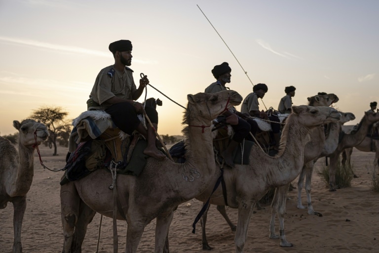 On patrol for jihadists with Mauritania's camel cavalry
