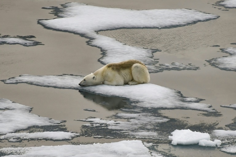 Arctic sea ice hits lowest peak in satellite record, says US agency