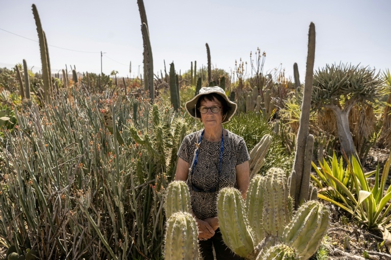 Israeli farmers revive tequila project cut short by Oct 7 attack