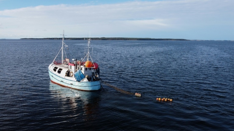 Ailing Baltic Sea in need of urgent attention