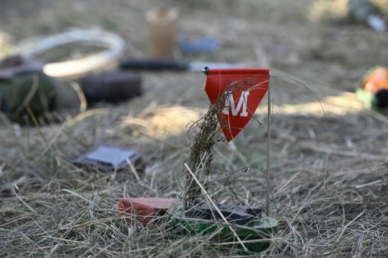 Finland to withdraw from anti-personnel mine ban treaty