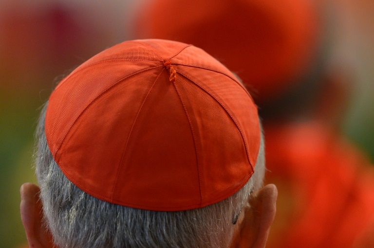 Abuse scandal in focus in search for new pope