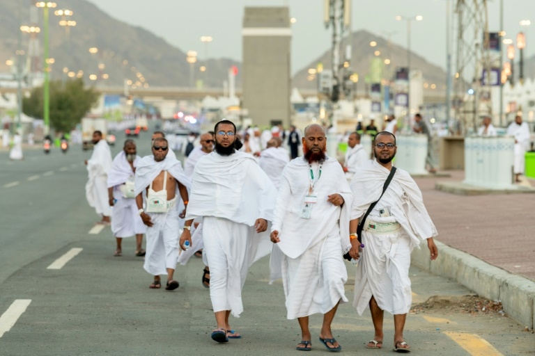 Muslim pilgrims pray at Mount Arafat in hajj apex