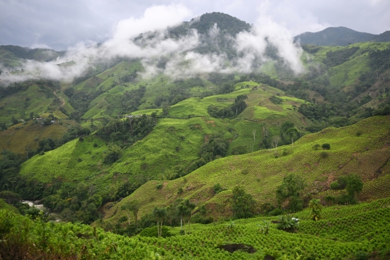 Colombian FARC dissidents take 29 soldiers, police captive