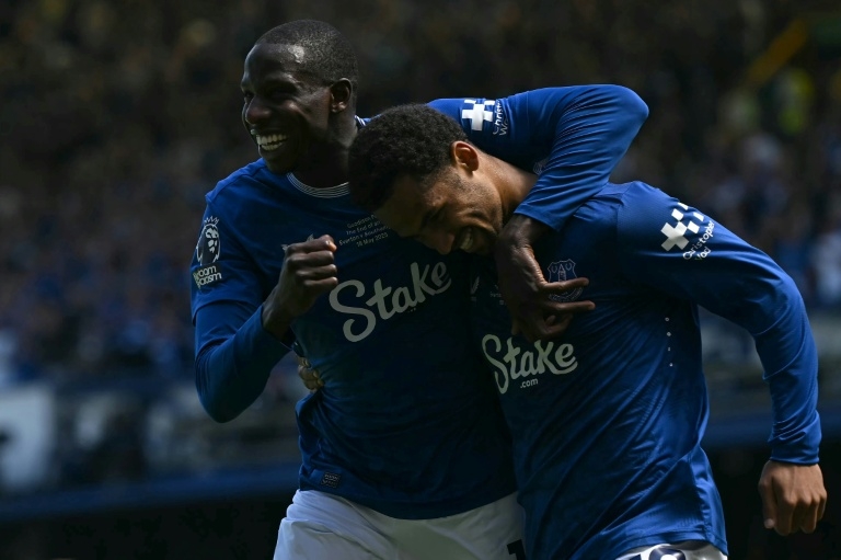 African players in Europe: Ndiaye gives Everton perfect send-off