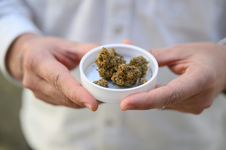 High times for German cannabis firm amid medical boom