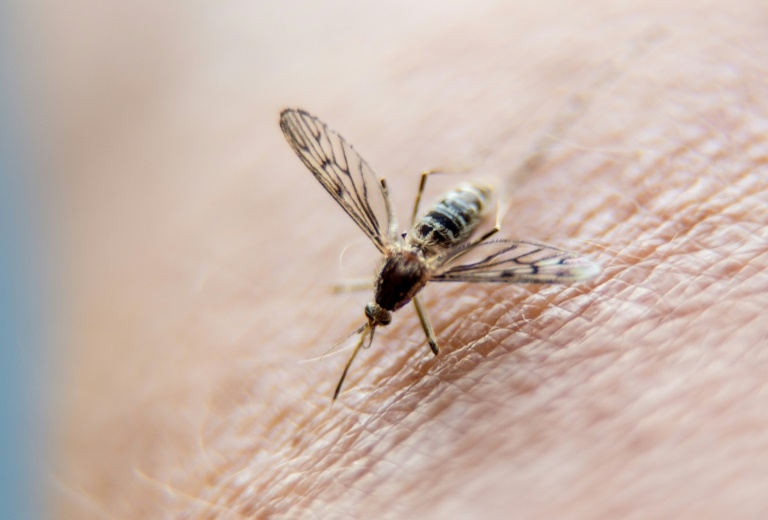 US aid cuts come at deadly moment for malaria control