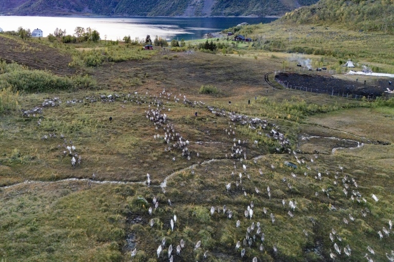 Green energy projects adding to Sami people's climate woes: Amnesty