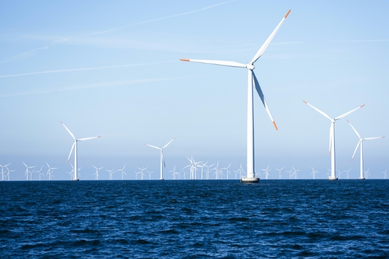 Danish firm Orsted halts huge UK offshore wind farm project