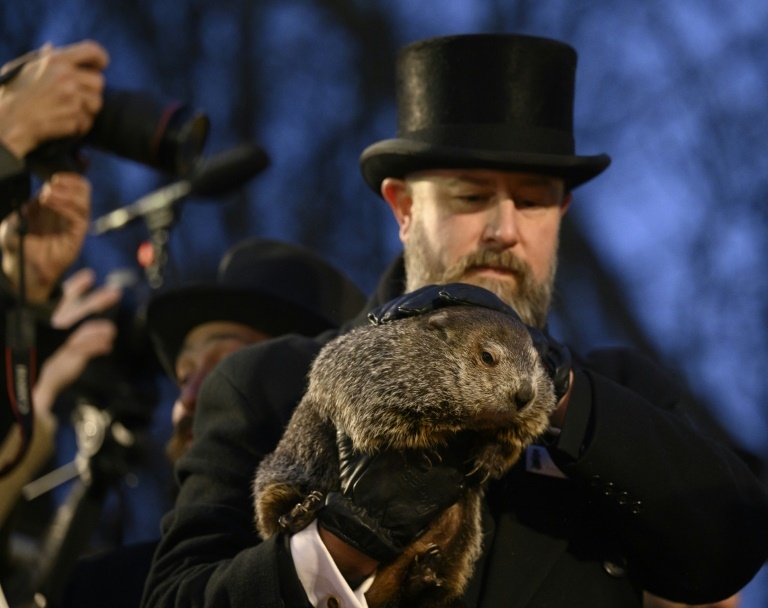 Scientists cast doubt on famous US groundhog's weather forecasts