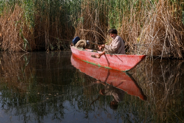 'Leave our marshes alone': Iraqis fear oil drilling would destroy fabled wetlands
