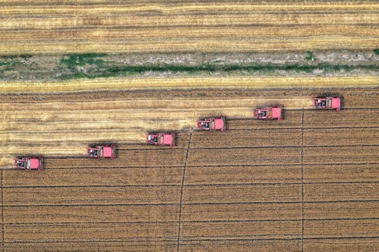 Climate change could cut crop yields up to a quarter