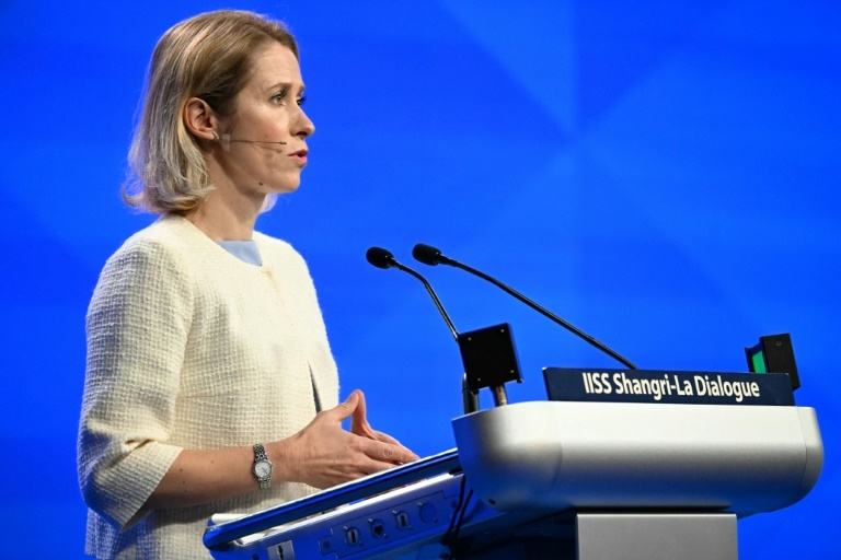 Trump 'tough love' on defence better than no love: EU's Kallas